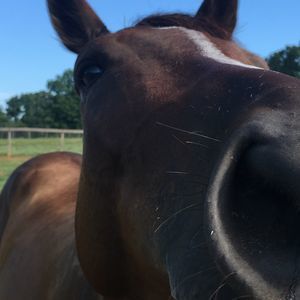 Meet your Posher, Sharon